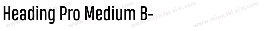 Heading Pro Medium B字体转换